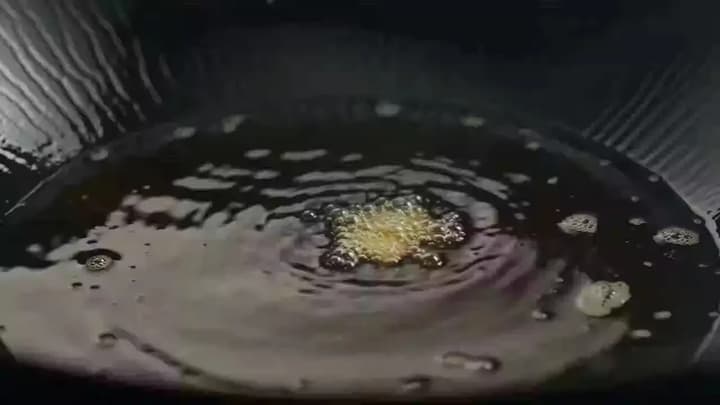 A bite of gourmet food