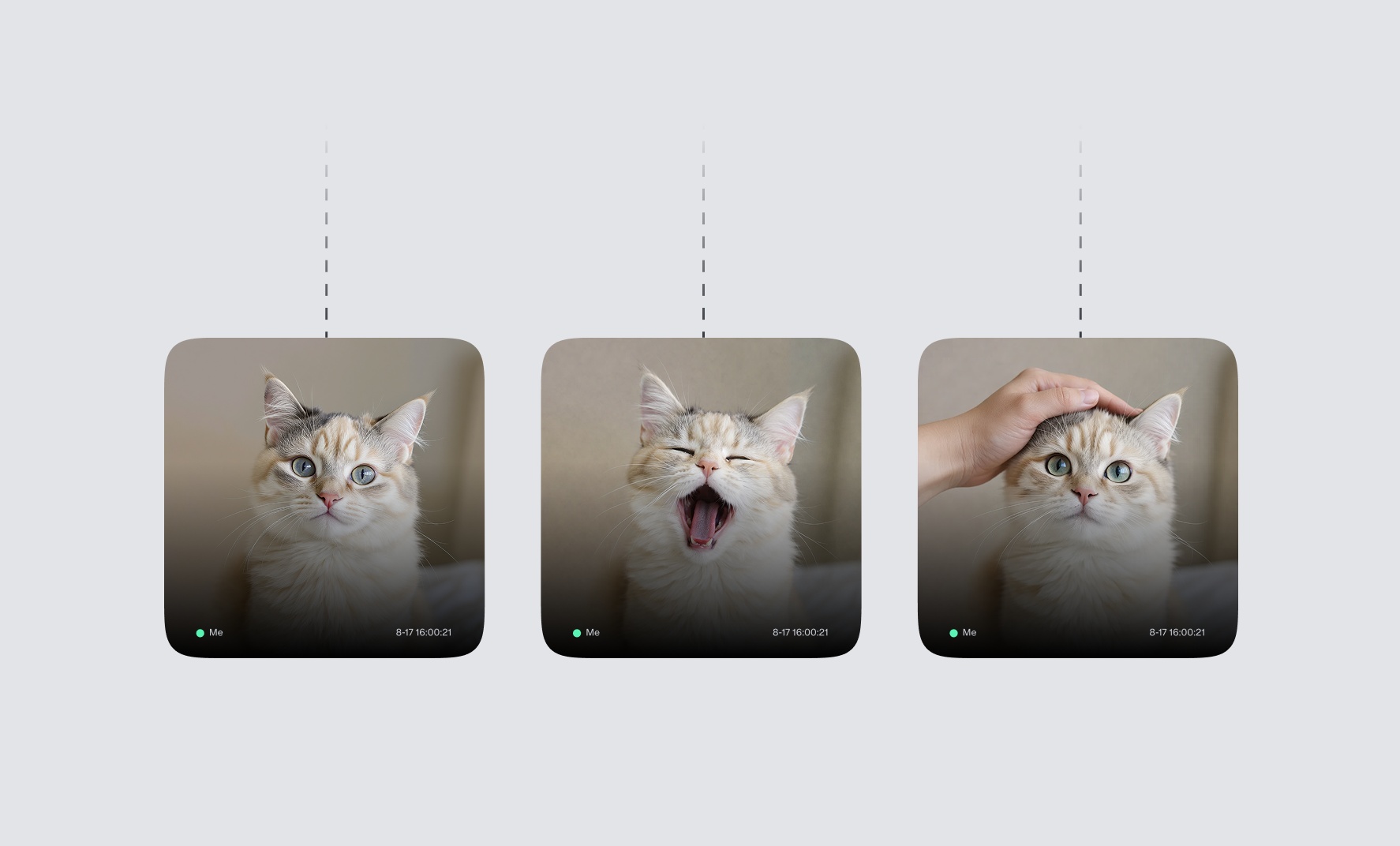 Cat variations on infinite canvas with branching nodes