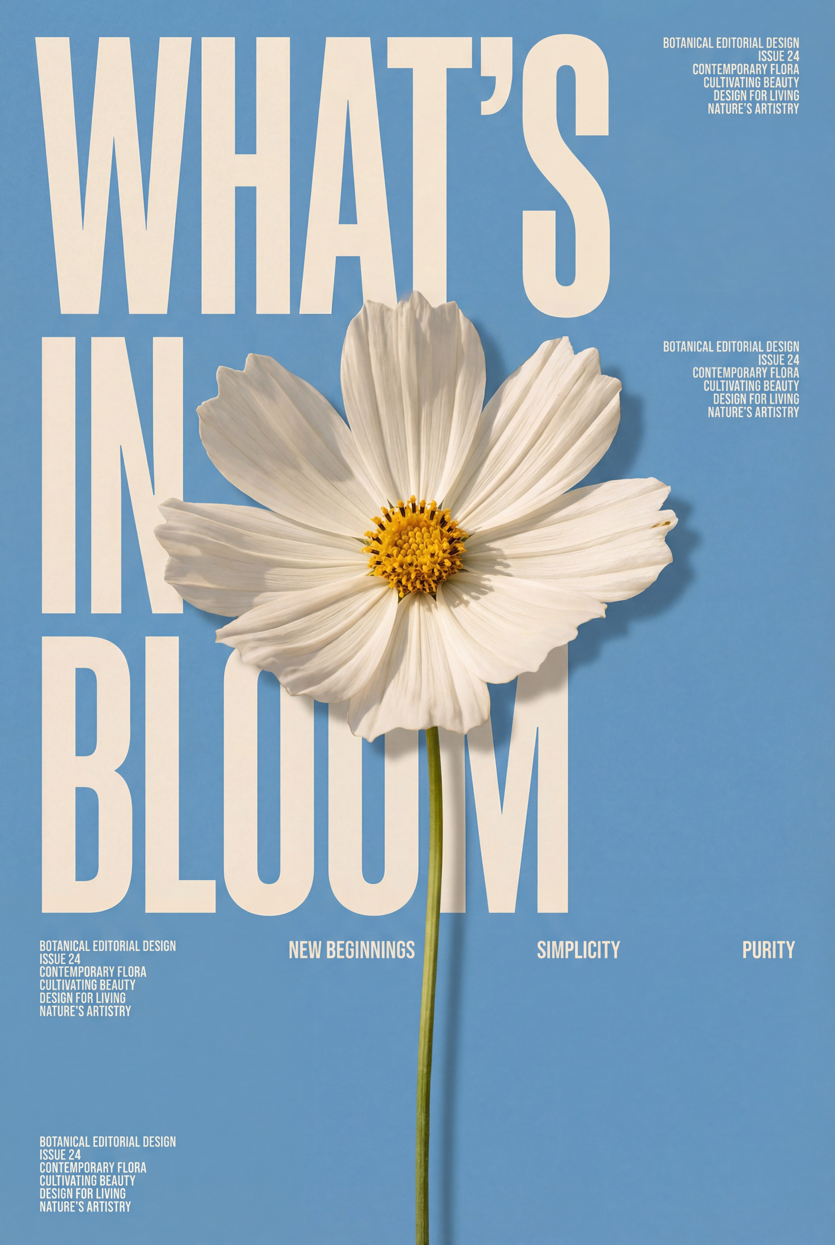Daisy Swiss-Style Poster